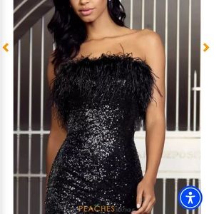 Sherri Hill (PROM DRESS)